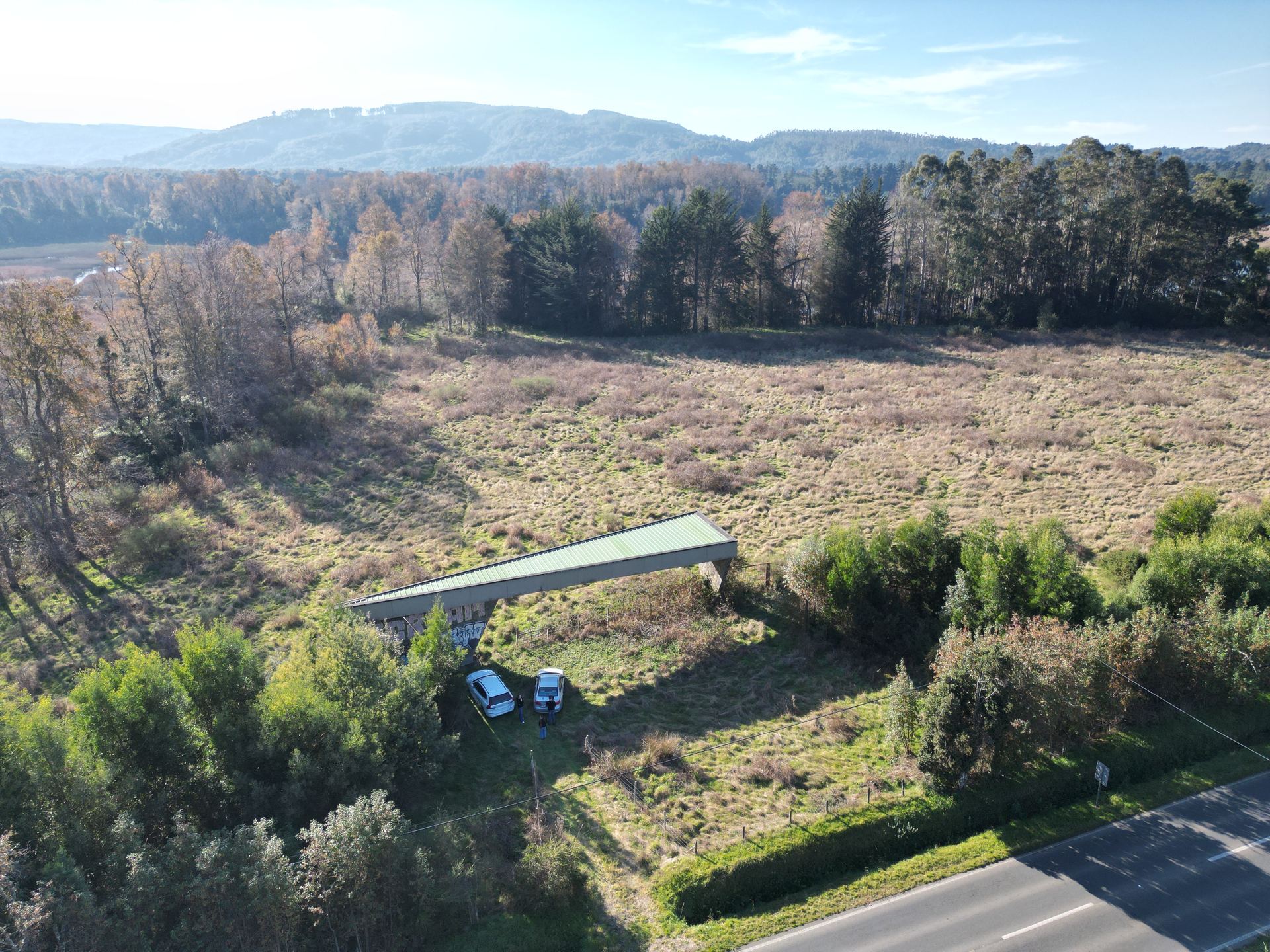 Terreno del Proyecto Santa Olivia, sector Torobayo, Valdivia